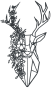 Tête de cerf florale Moyen format Couleur : RAL 7016 gris anthracite