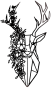 Tête de cerf florale Moyen format Couleur : Noir RAL 9005